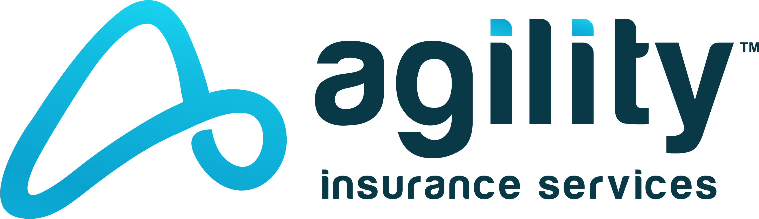 Agility Logo 